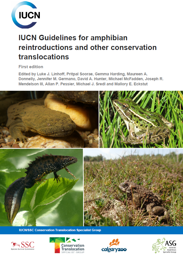 Launching the IUCN Guidelines for amphibian reintroductions and other conservation translocations