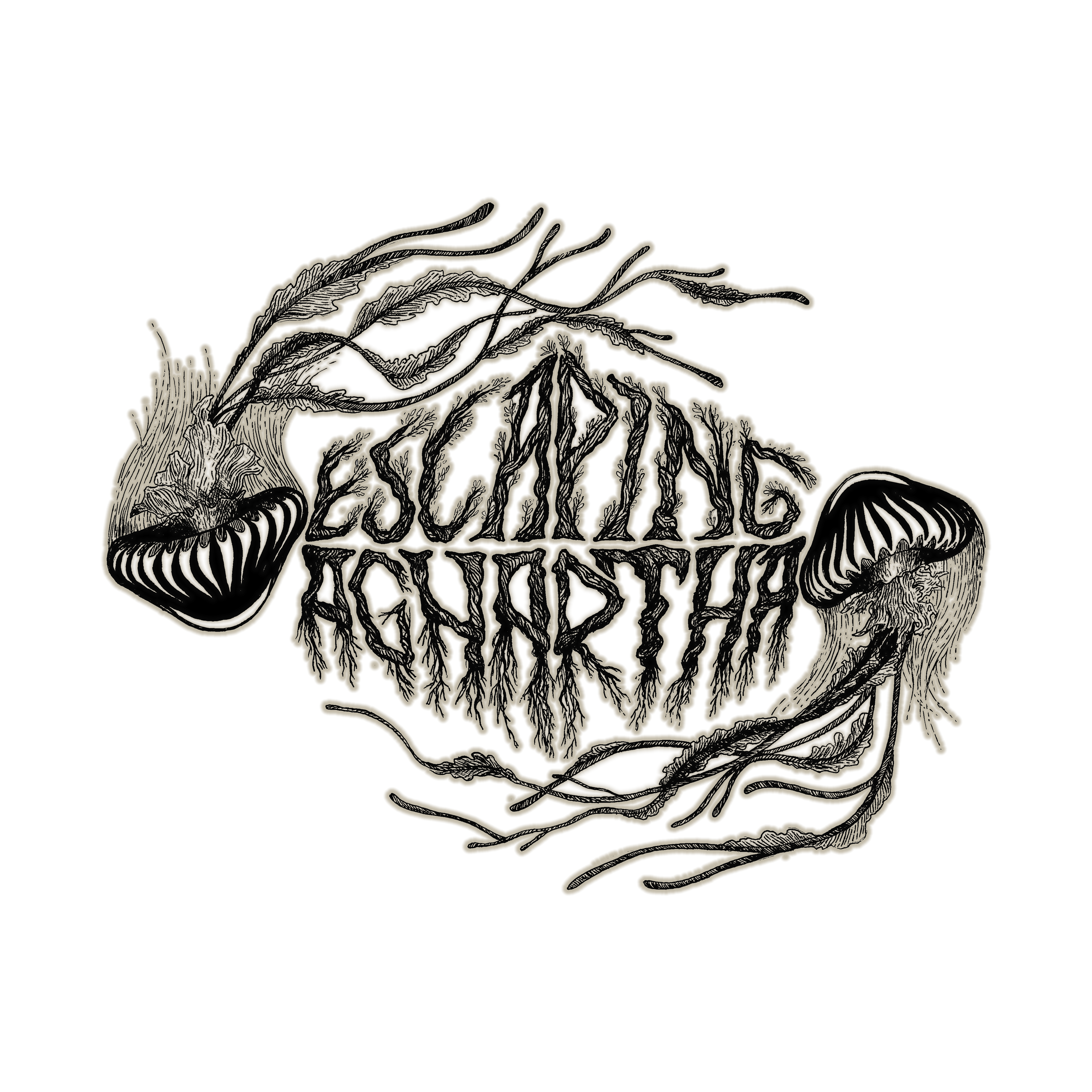 Metal band Escaping Aghartha supports amphibian conservation!
