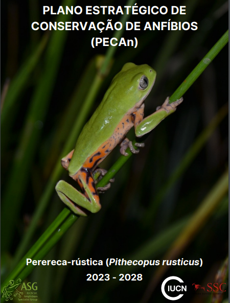New Strategic Amphibian Conservation Plan for the rustic tree frog (Pithecopus rusticus)