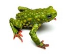This image has an empty alt attribute; its file name is Thumbnail-Brazil.jpg